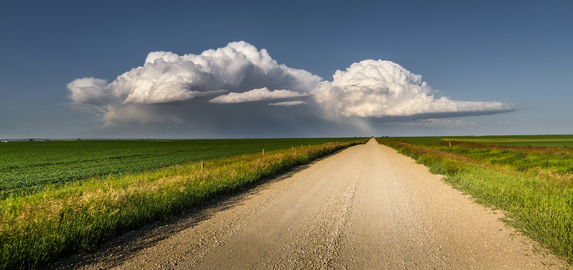 A gravel road through Alberta prairie fields under a large storm cloud